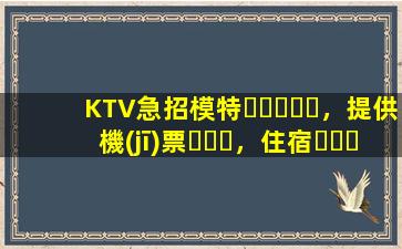 KTV急招模特，提供機(jī)票，住宿，日結(jié)